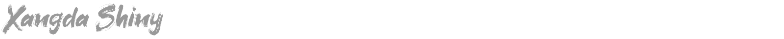 Xangda Shiny font preview